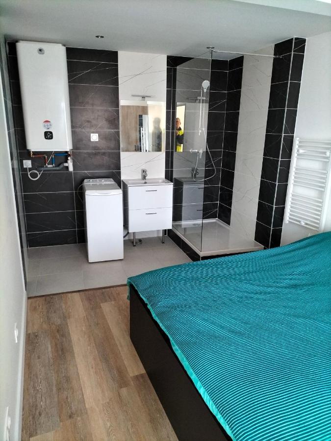 Appartement 2 Pieces Rive-de-Gier Exterior foto